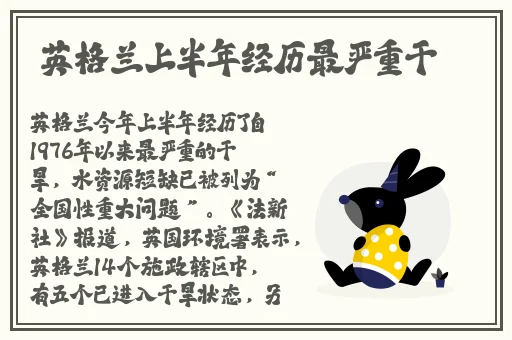 欧美大片1688